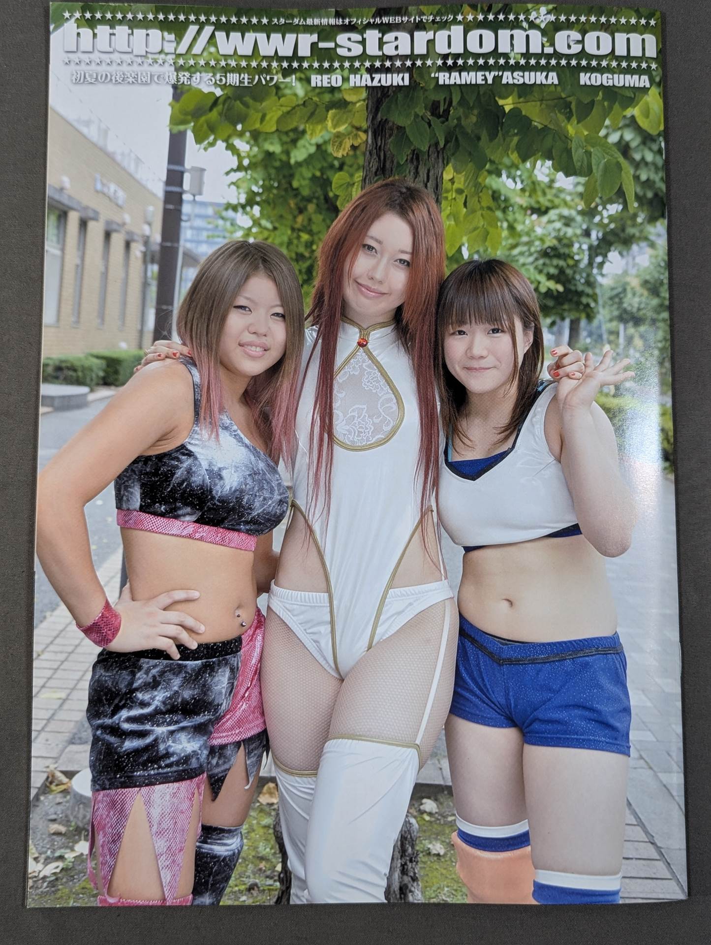 STARDOM OFFICIAL GUIDE BOOK Vol.48