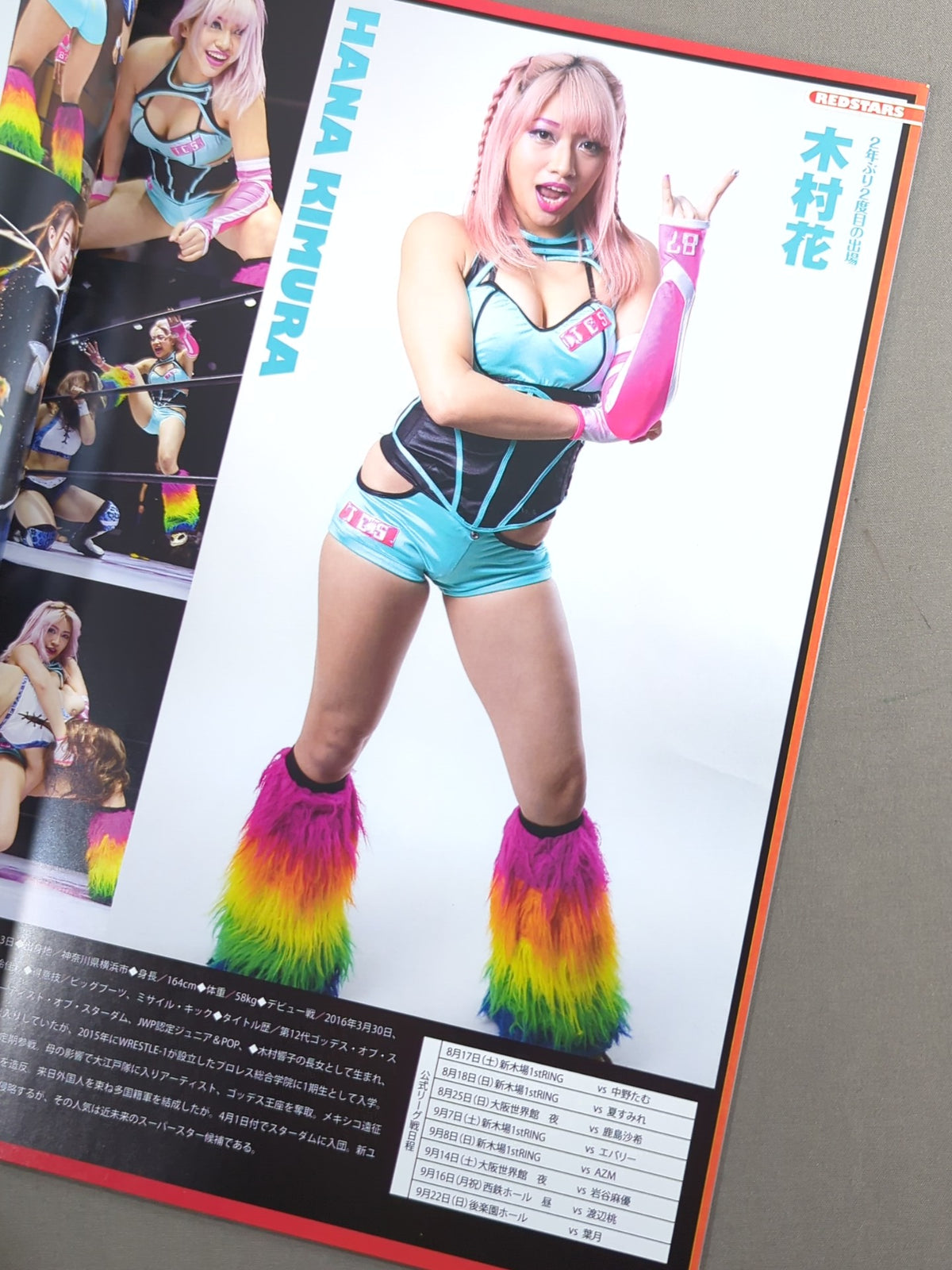 STARDOM OFFICIAL GUIDE BOOK Vol.125