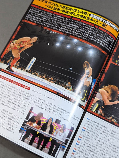 STARDOM OFFICIAL GUIDE BOOK Vol.11
