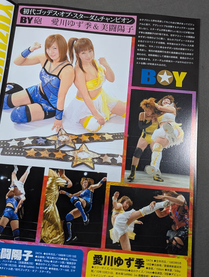 STARDOM OFFICIAL GUIDE BOOK Vol.11