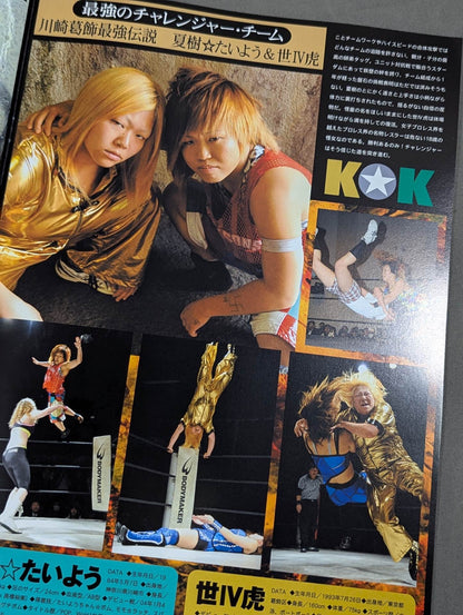 STARDOM OFFICIAL GUIDE BOOK Vol.11