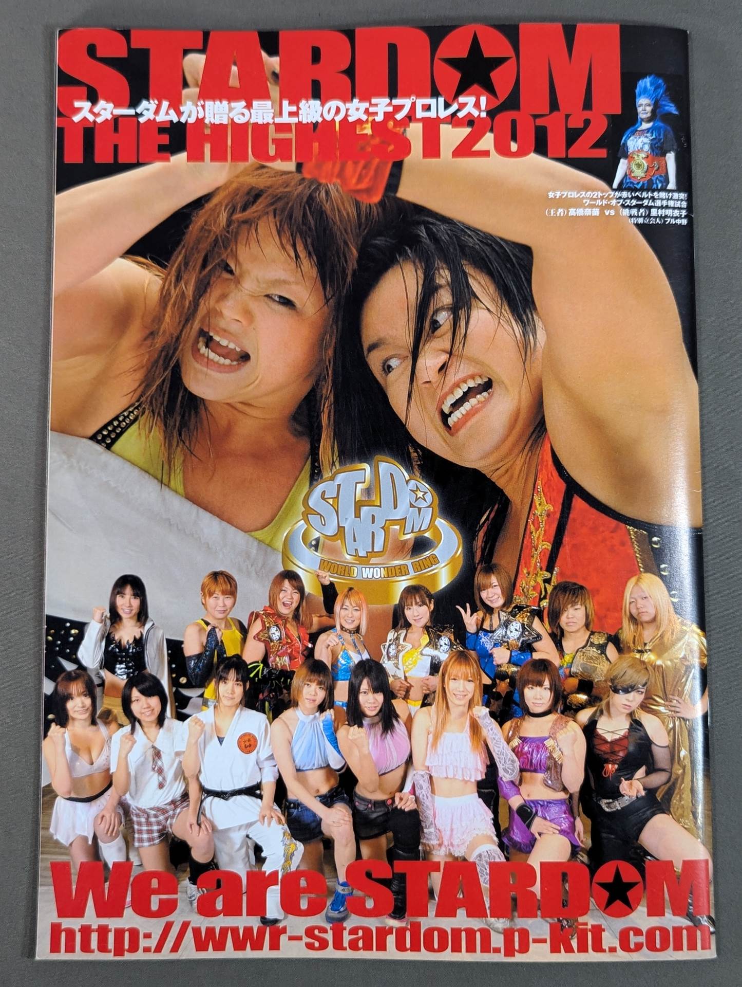 STARDOM OFFICIAL GUIDE BOOK Vol.11 – 闘道館