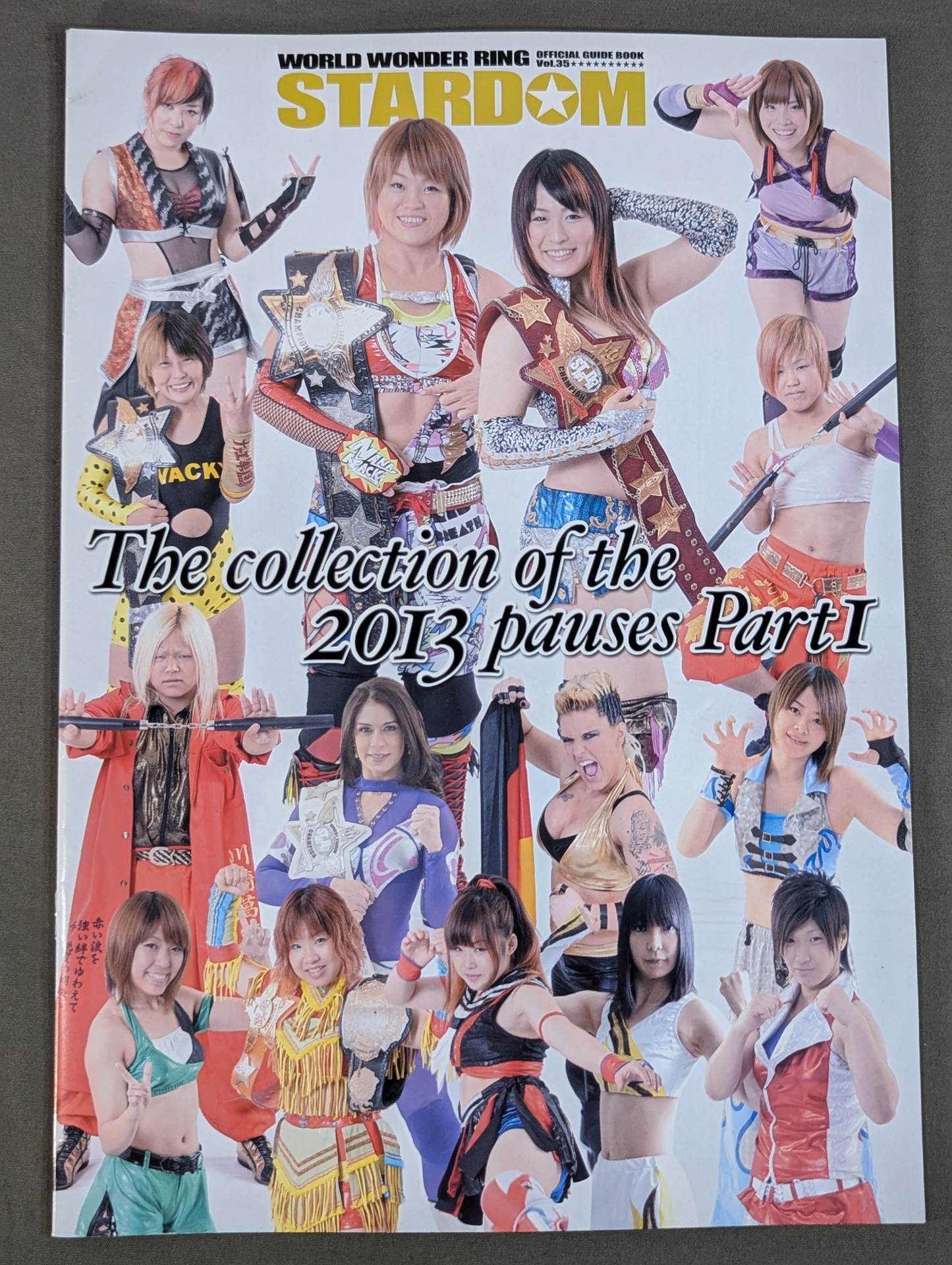 STARDOM OFFICIAL GUIDE BOOK Vol.35