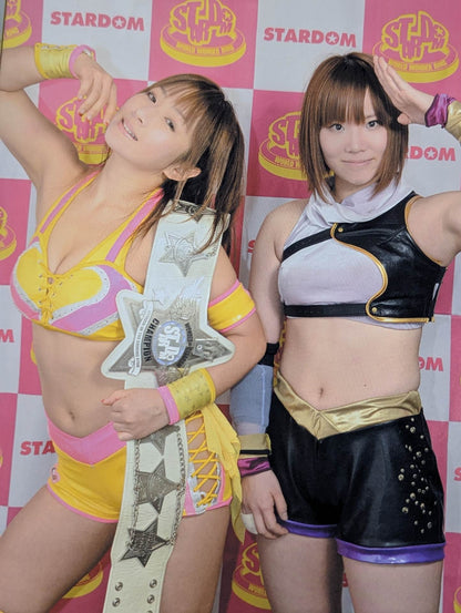 STARDOM OFFICIAL GUIDE BOOK Vol.35