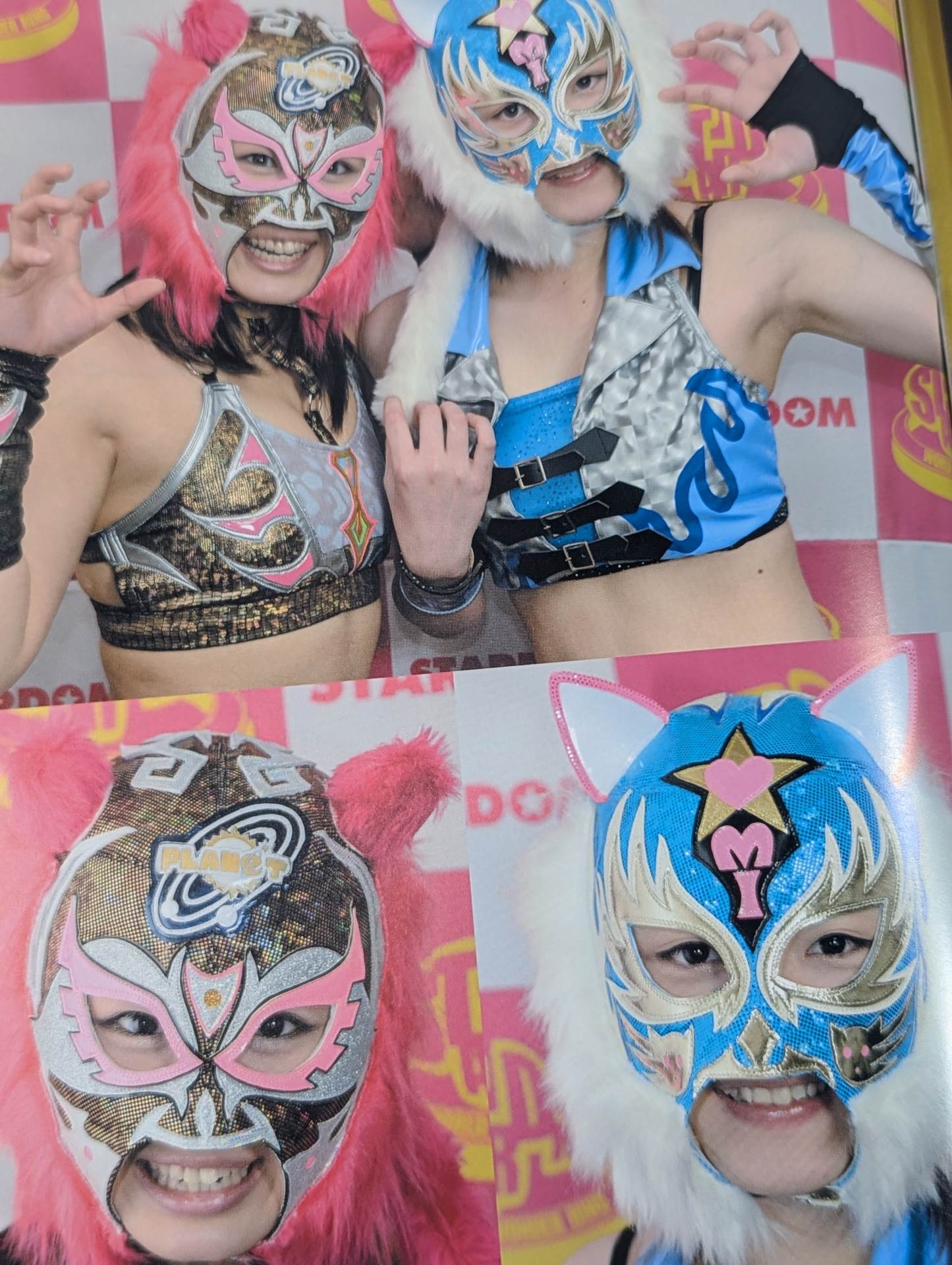 STARDOM OFFICIAL GUIDE BOOK Vol.35