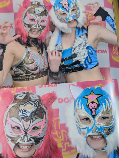 STARDOM OFFICIAL GUIDE BOOK Vol.35