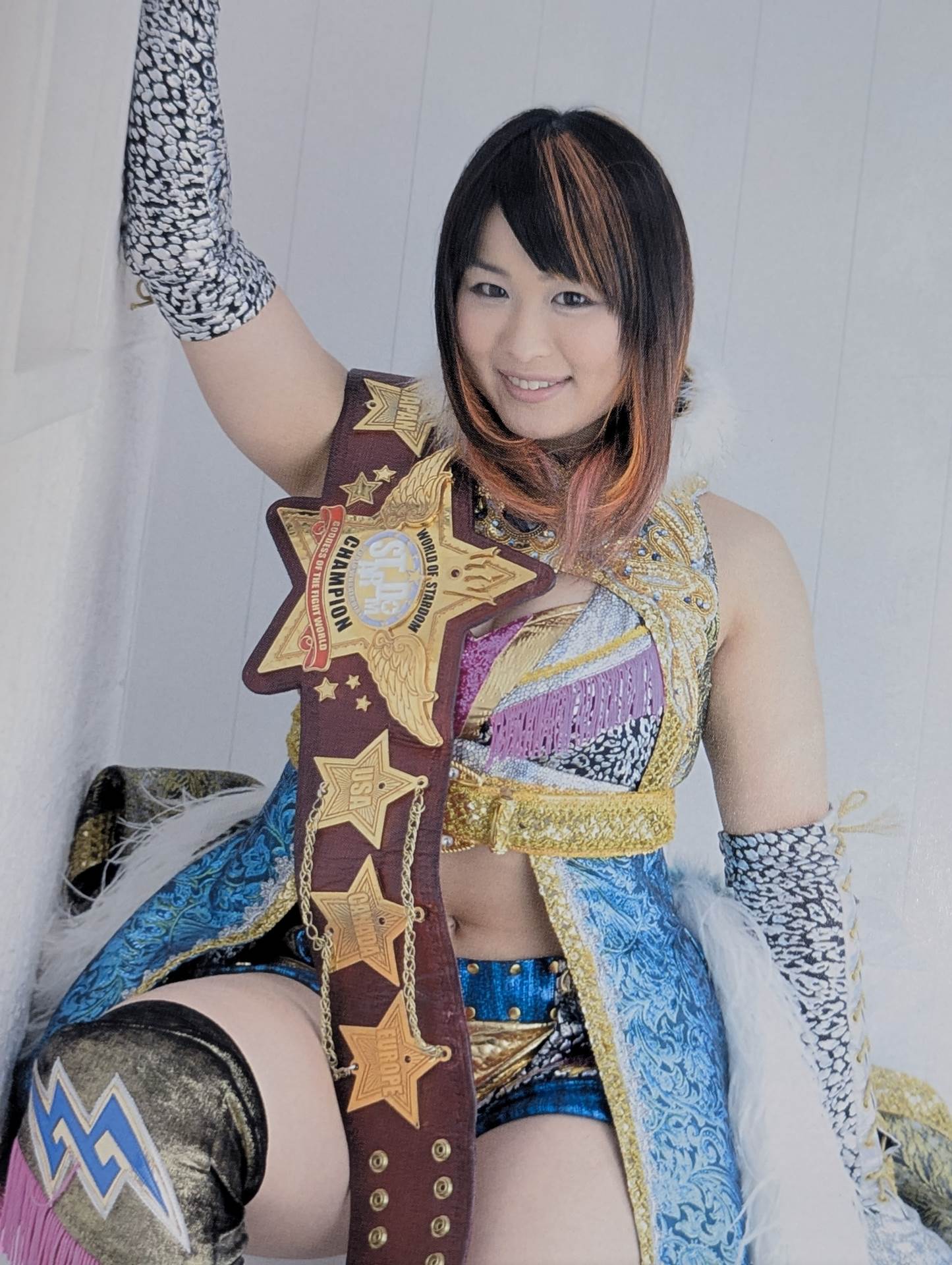 STARDOM OFFICIAL GUIDE BOOK Vol.35