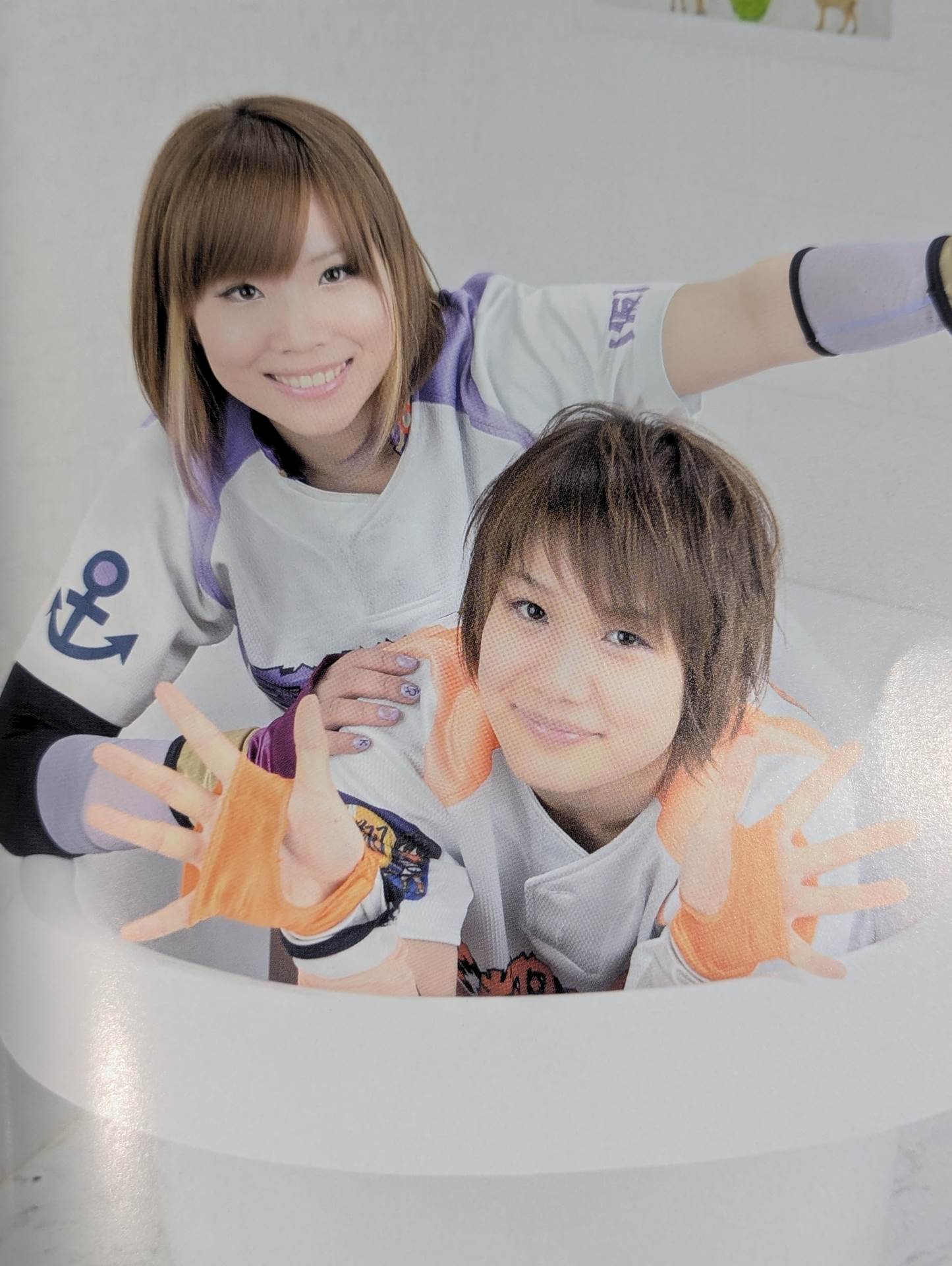 STARDOM OFFICIAL GUIDE BOOK Vol.35