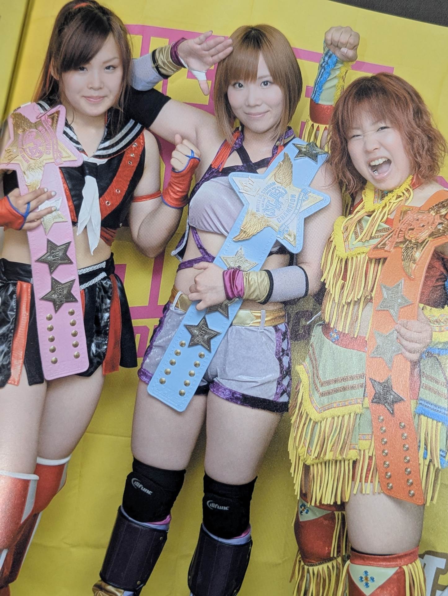 STARDOM OFFICIAL GUIDE BOOK Vol.35