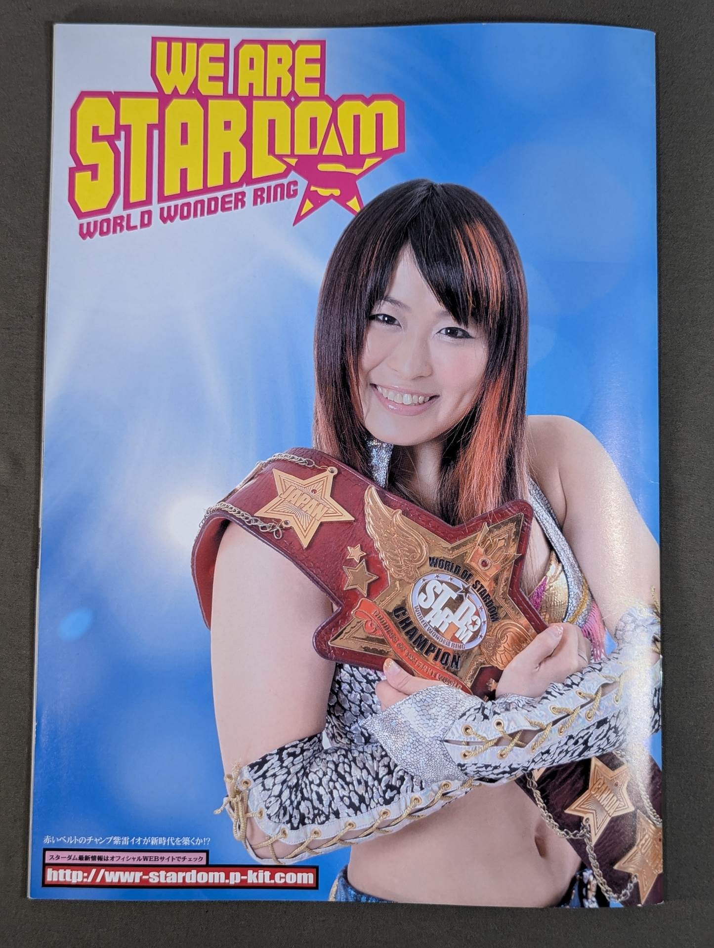 STARDOM OFFICIAL GUIDE BOOK Vol.35