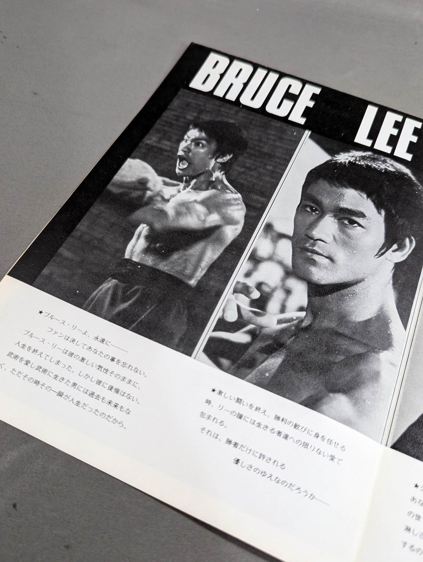 DRAGON BRUCE DRAGON LEE : STAR SHOTO & CINEMA PAMPHLET