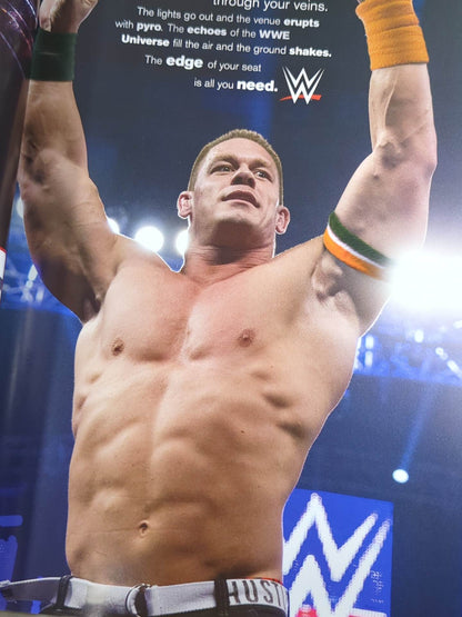 WWE OFFICIAL PROGRAM 2015