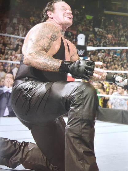 WWE OFFICIAL PROGRAM 2015