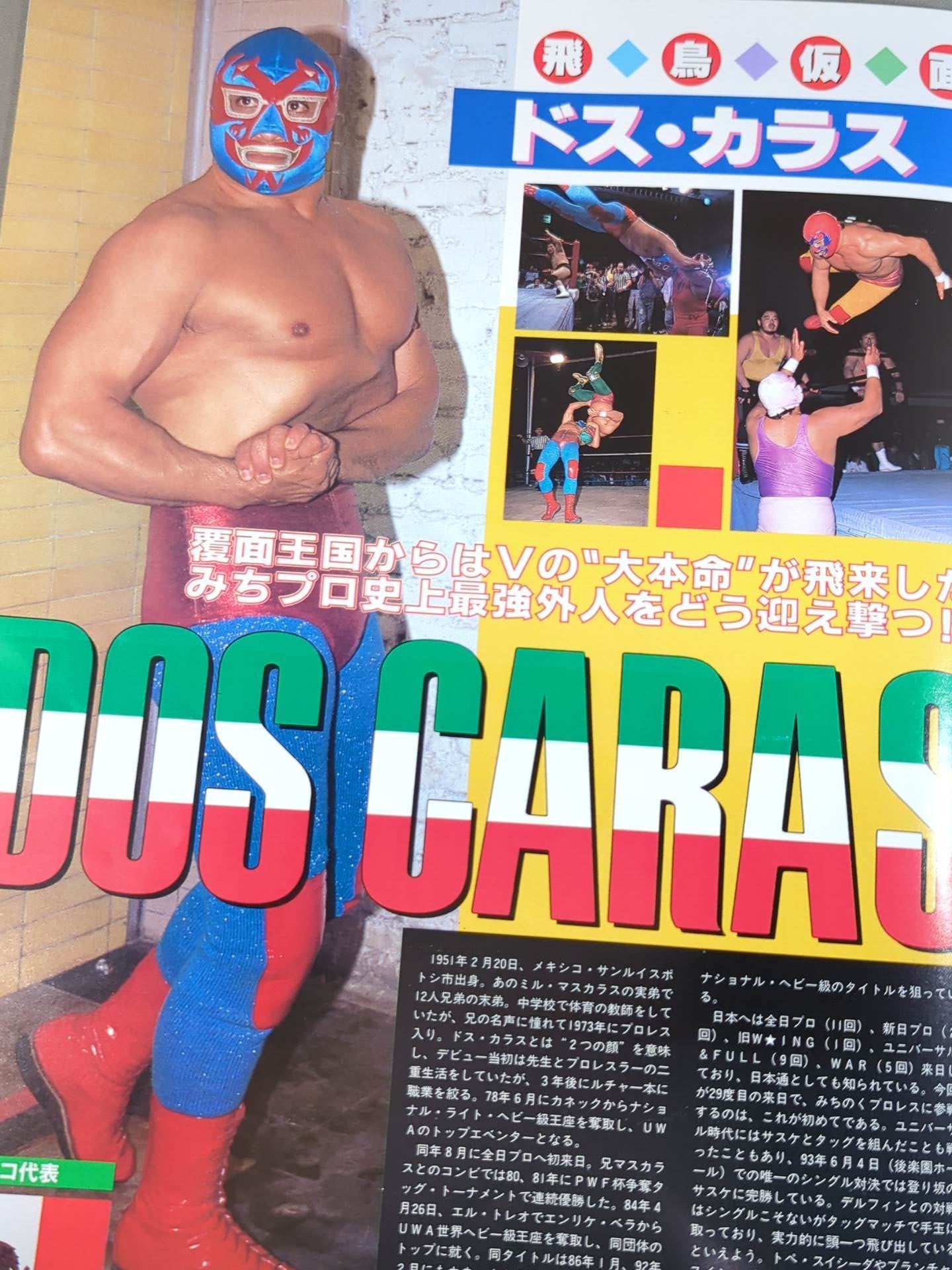 【みちのくルチャ天国】週刊プロレスビデオシリーズ 61ZYm389E1L._SY200_QL15_.jpg