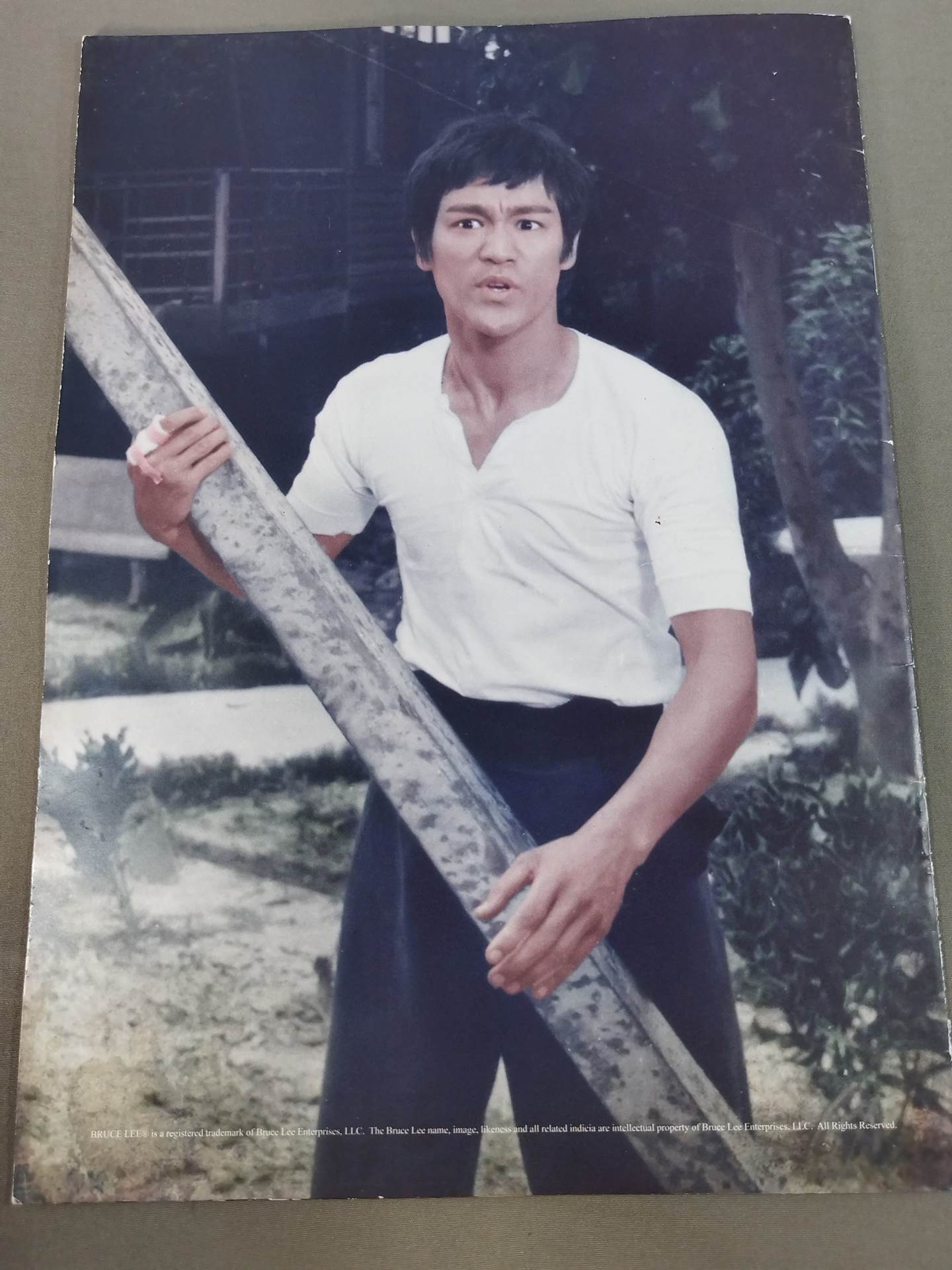 BRUCE LEE FOREVER：THE BIG BOSS SCRAPBOOK