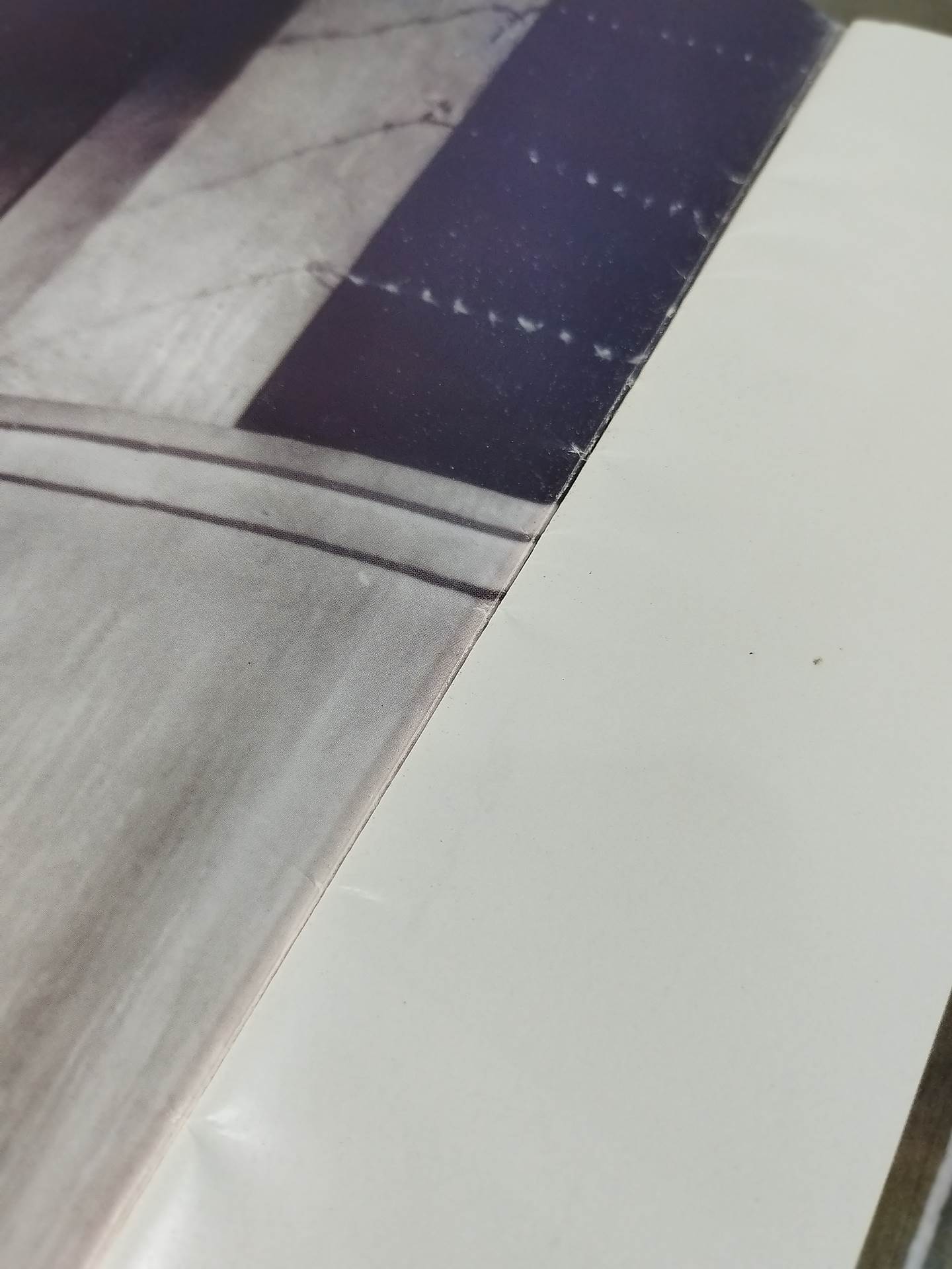 BRUCE LEE FOREVER：THE BIG BOSS SCRAPBOOK