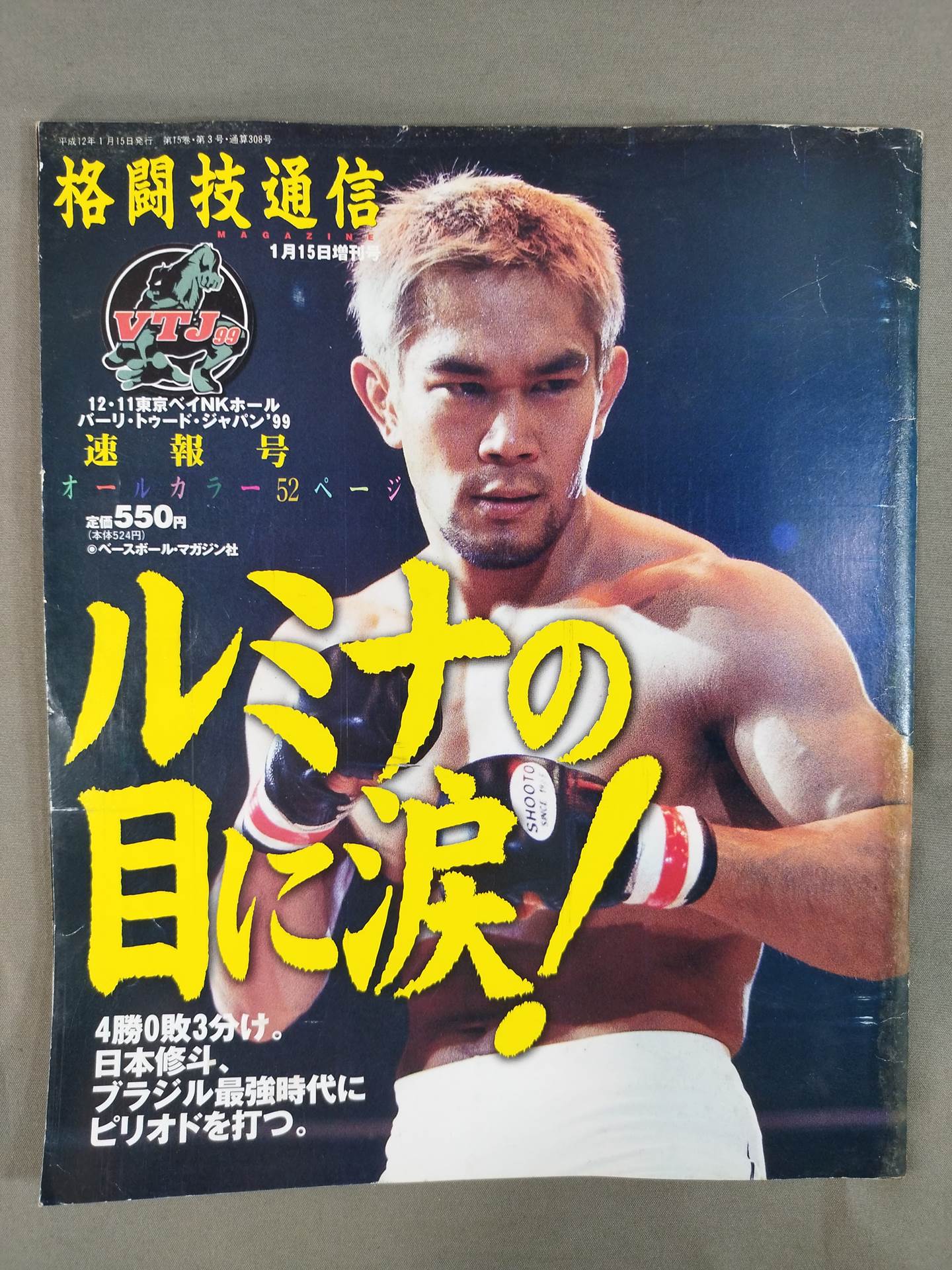 Martial Arts Newsletter Supplement 308