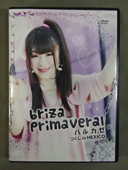 briza Primaveral Harukaze Horsetail