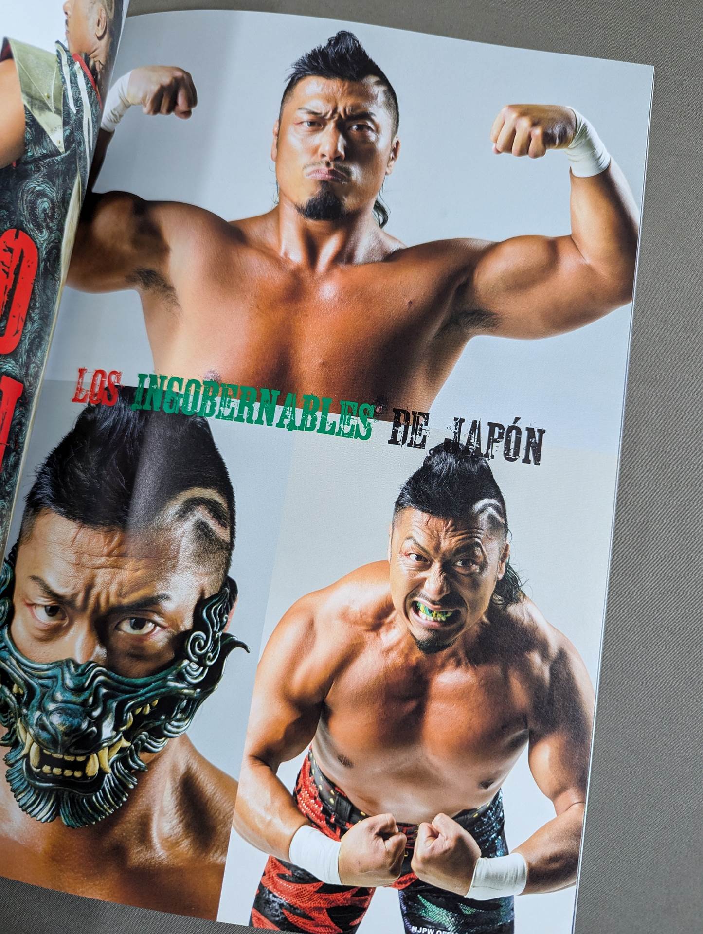 NJPW OFFICIAL MAGAZINE 2019 Vol.5
