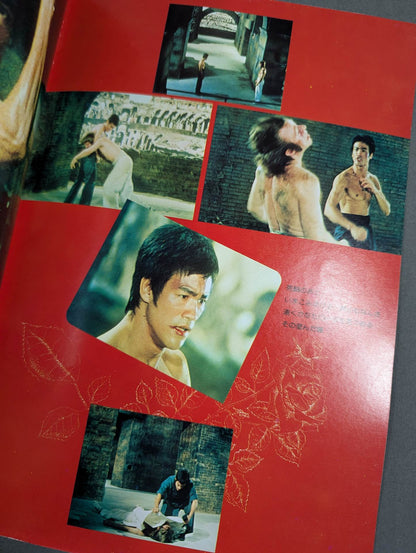 Last Bruce Lee  The Way of the Dragon