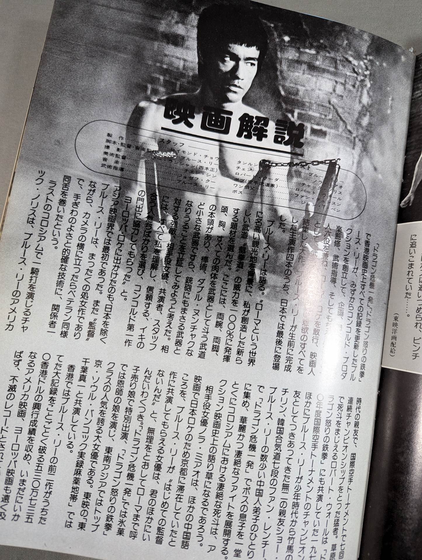 Last Bruce Lee  The Way of the Dragon