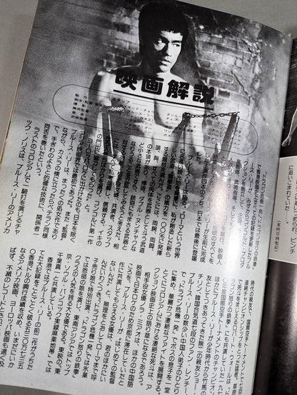 Last Bruce Lee  The Way of the Dragon