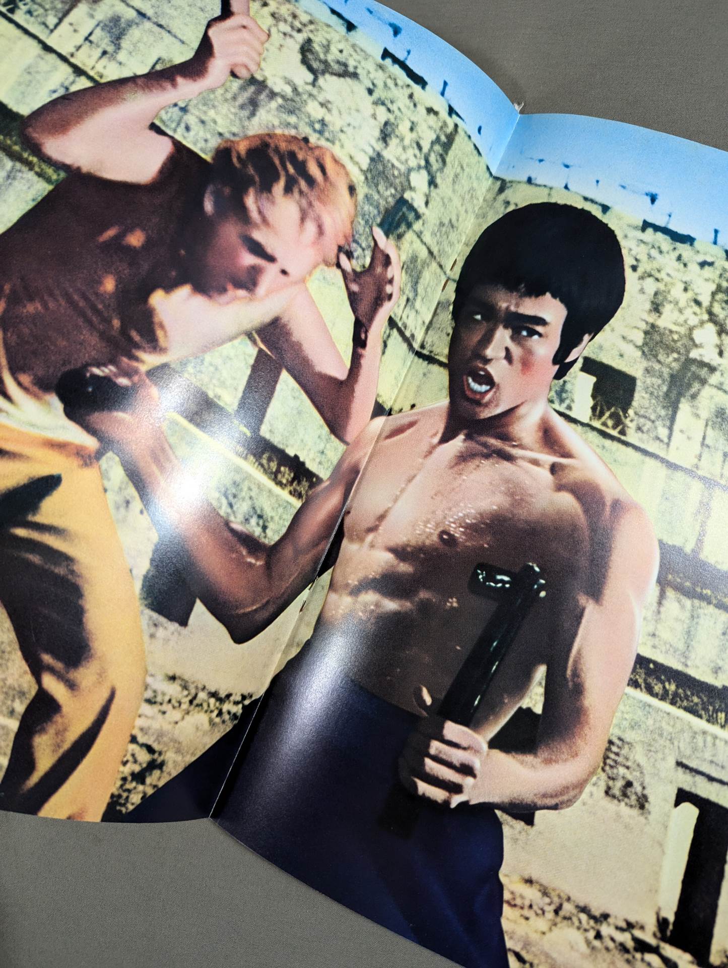 Last Bruce Lee  The Way of the Dragon