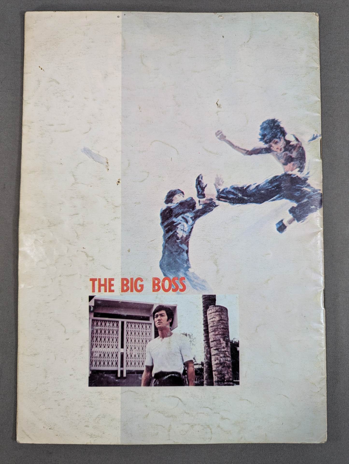 ドラゴン危機一発 (THE BIG BOSS) – 闘道館