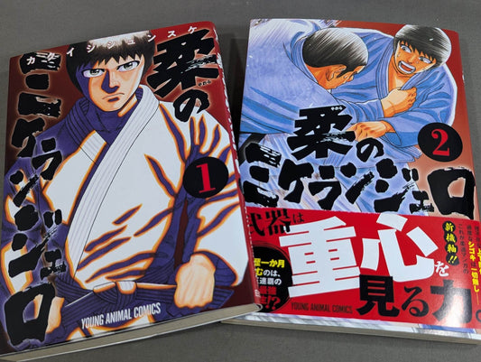 [2-volume set] Michelangelo of softness