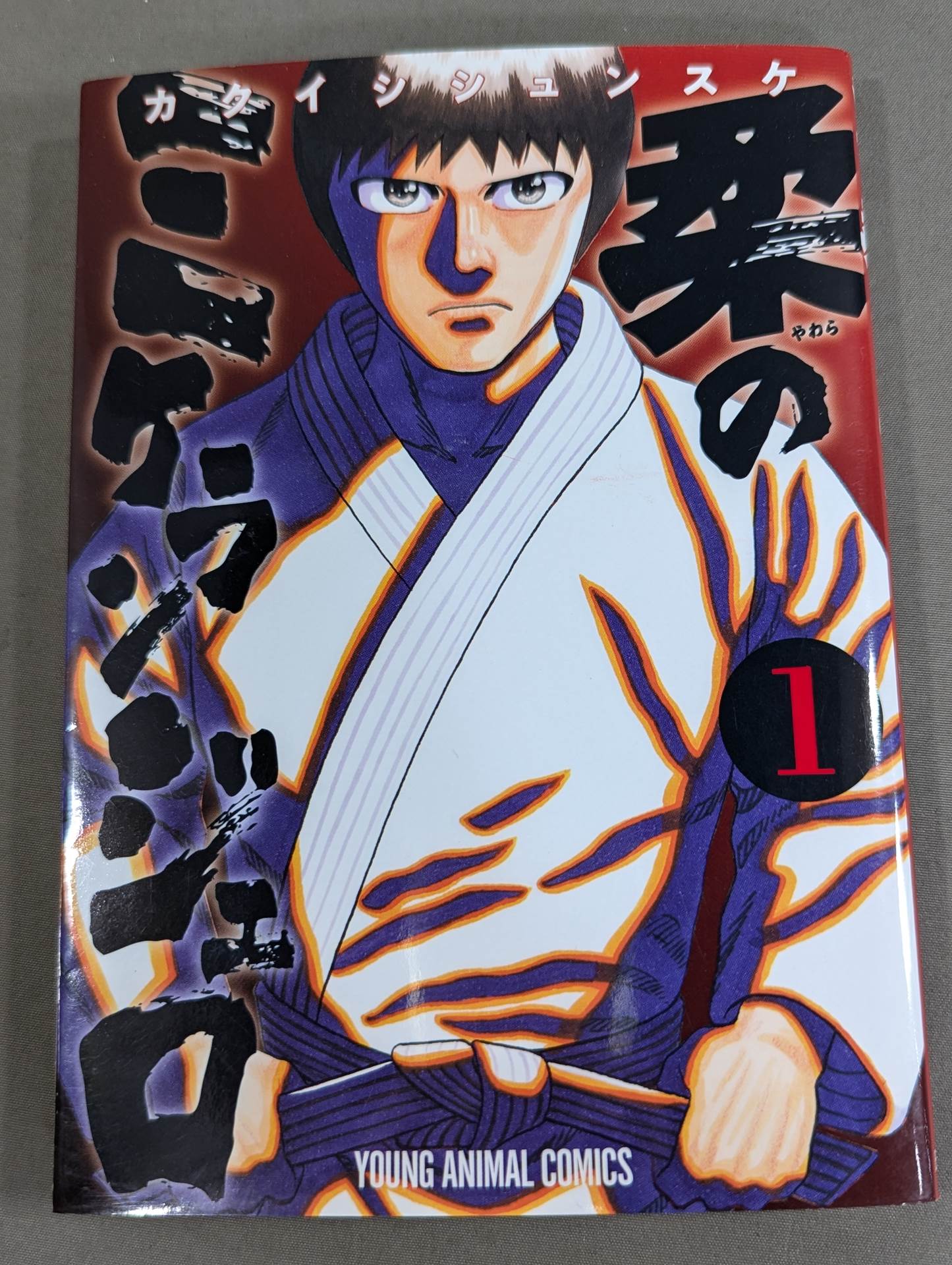 [2-volume set] Michelangelo of softness