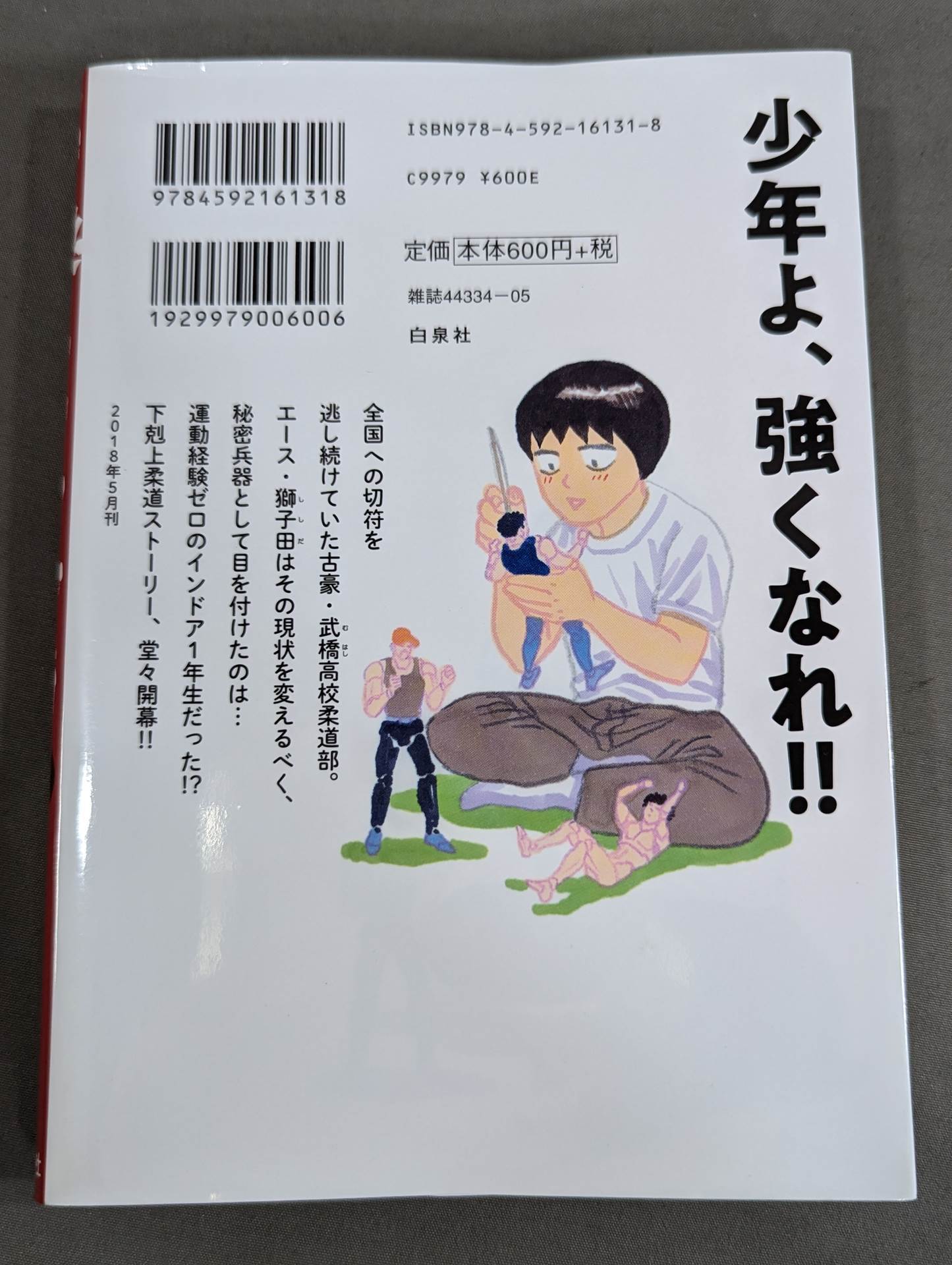 [2-volume set] Michelangelo of softness