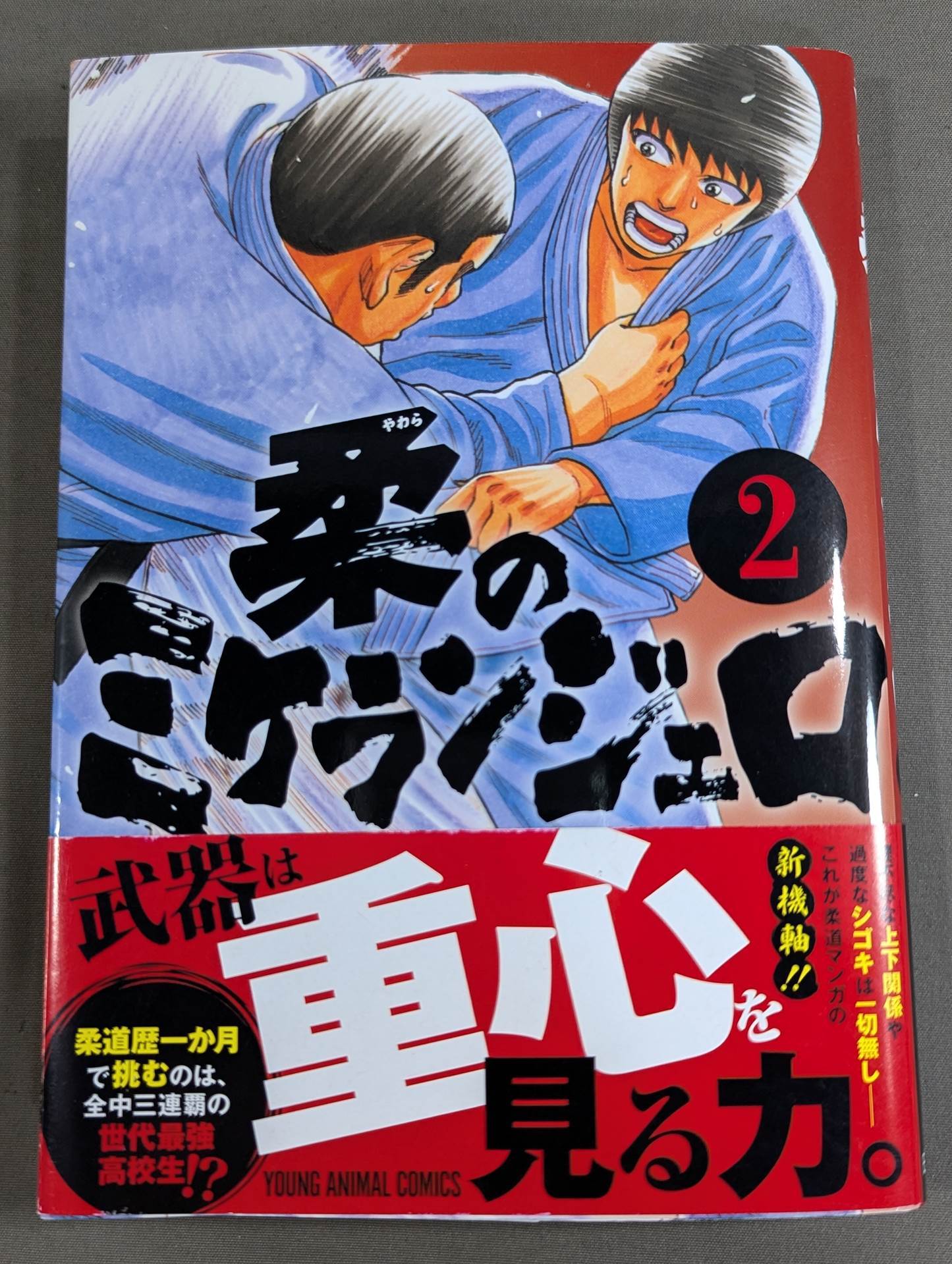 [2-volume set] Michelangelo of softness