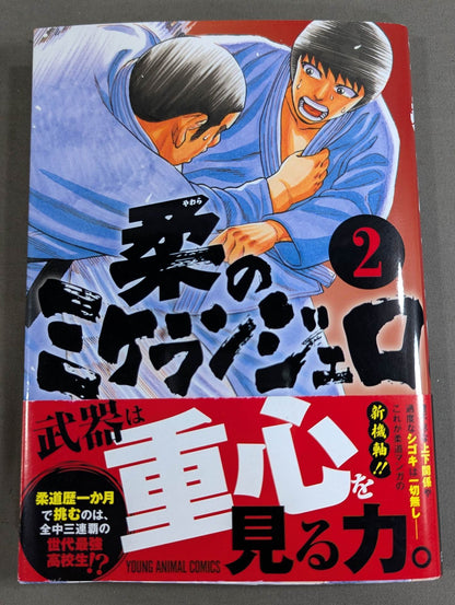 [2-volume set] Michelangelo of softness