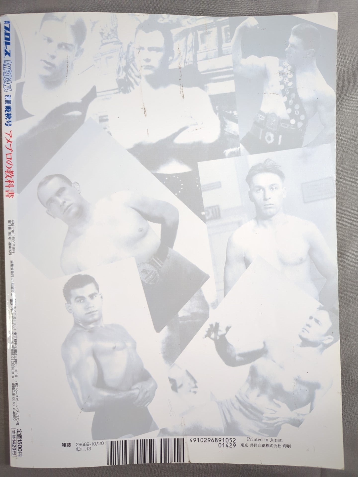 Weekly Pro Wrestling  Appendix 65 "American Pro Textbook"