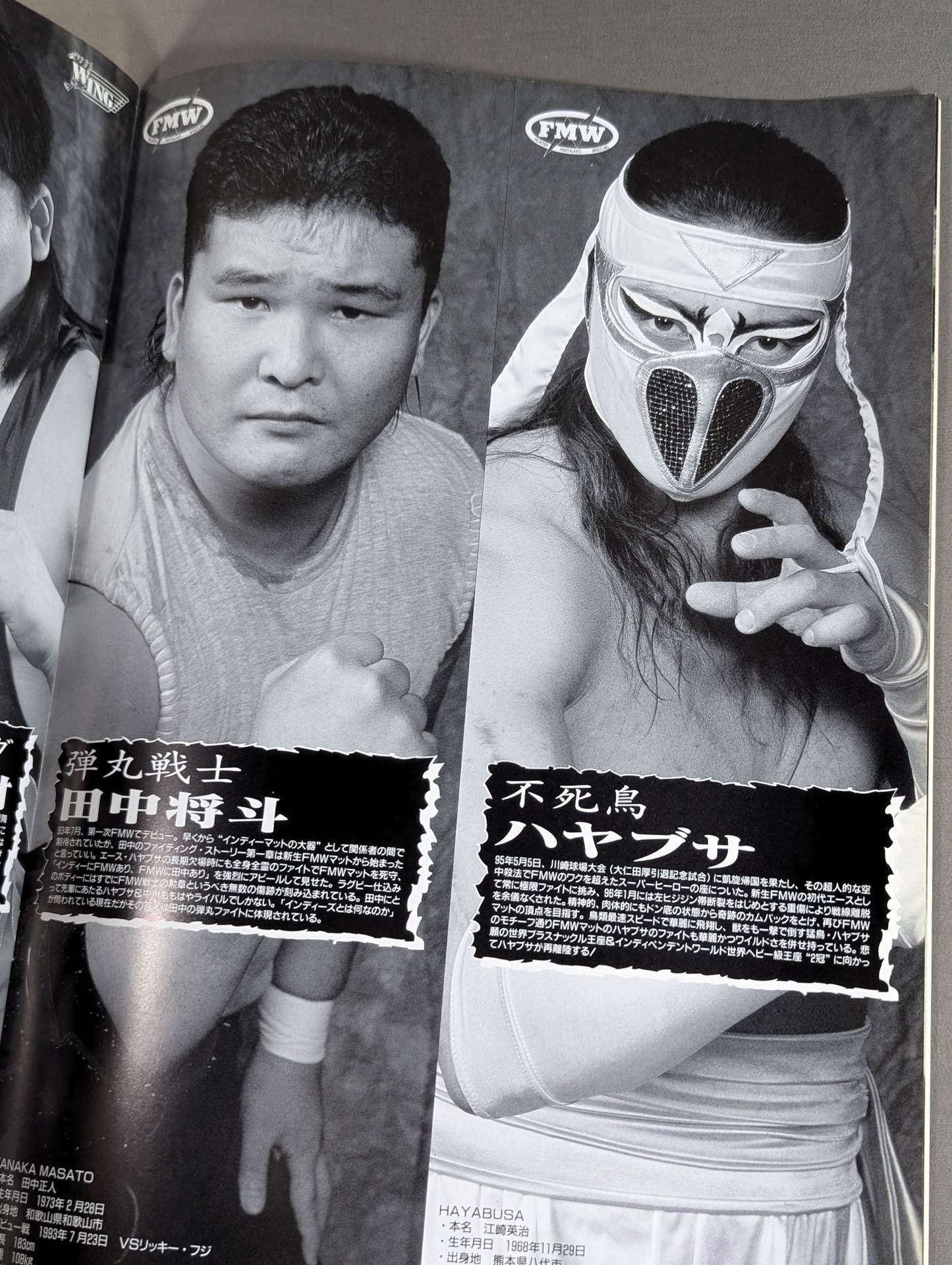 FMW / OFFICIAL GUIDE BOOK Special 1996～1997