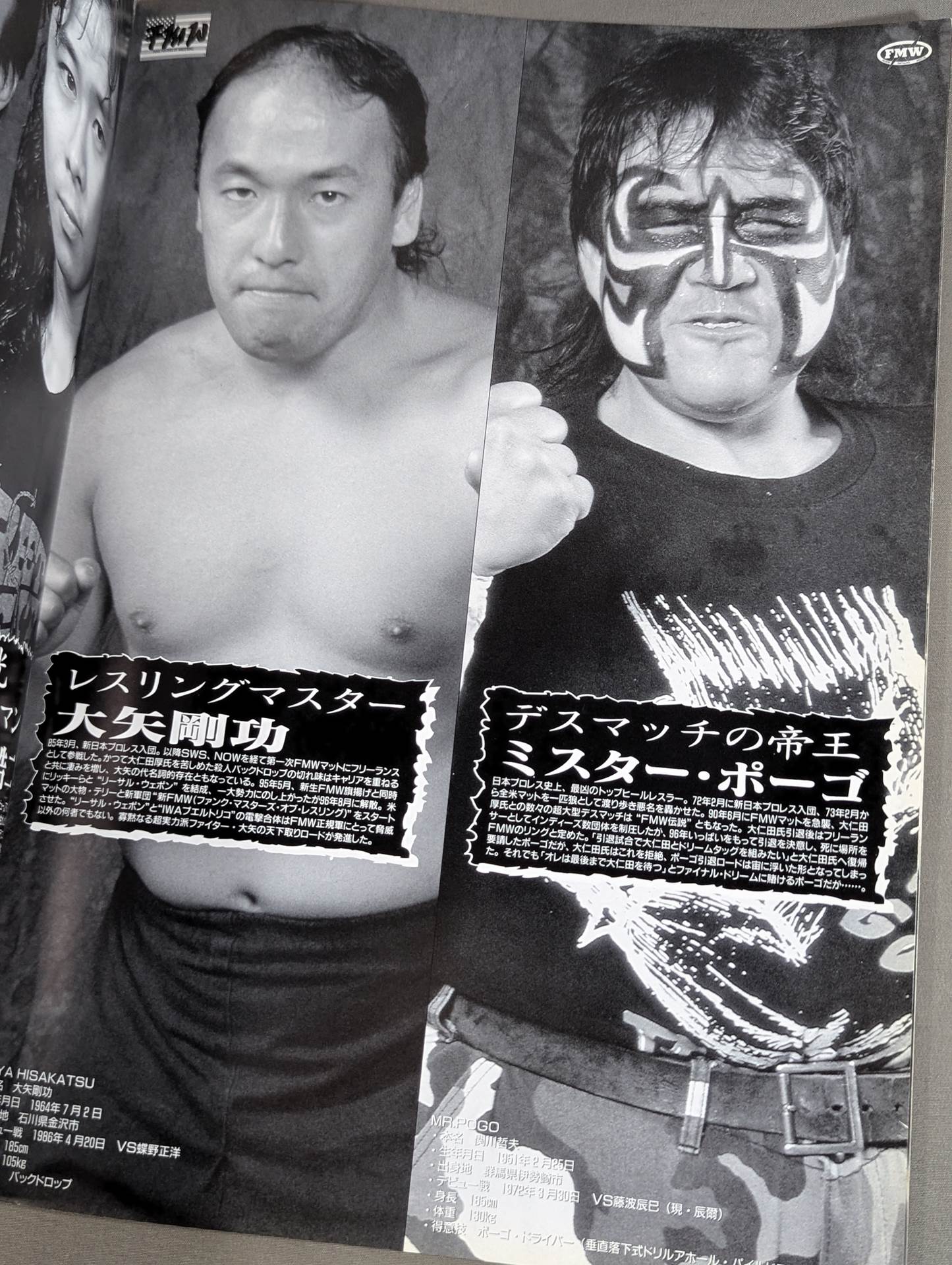 FMW / OFFICIAL GUIDE BOOK Special 1996～1997