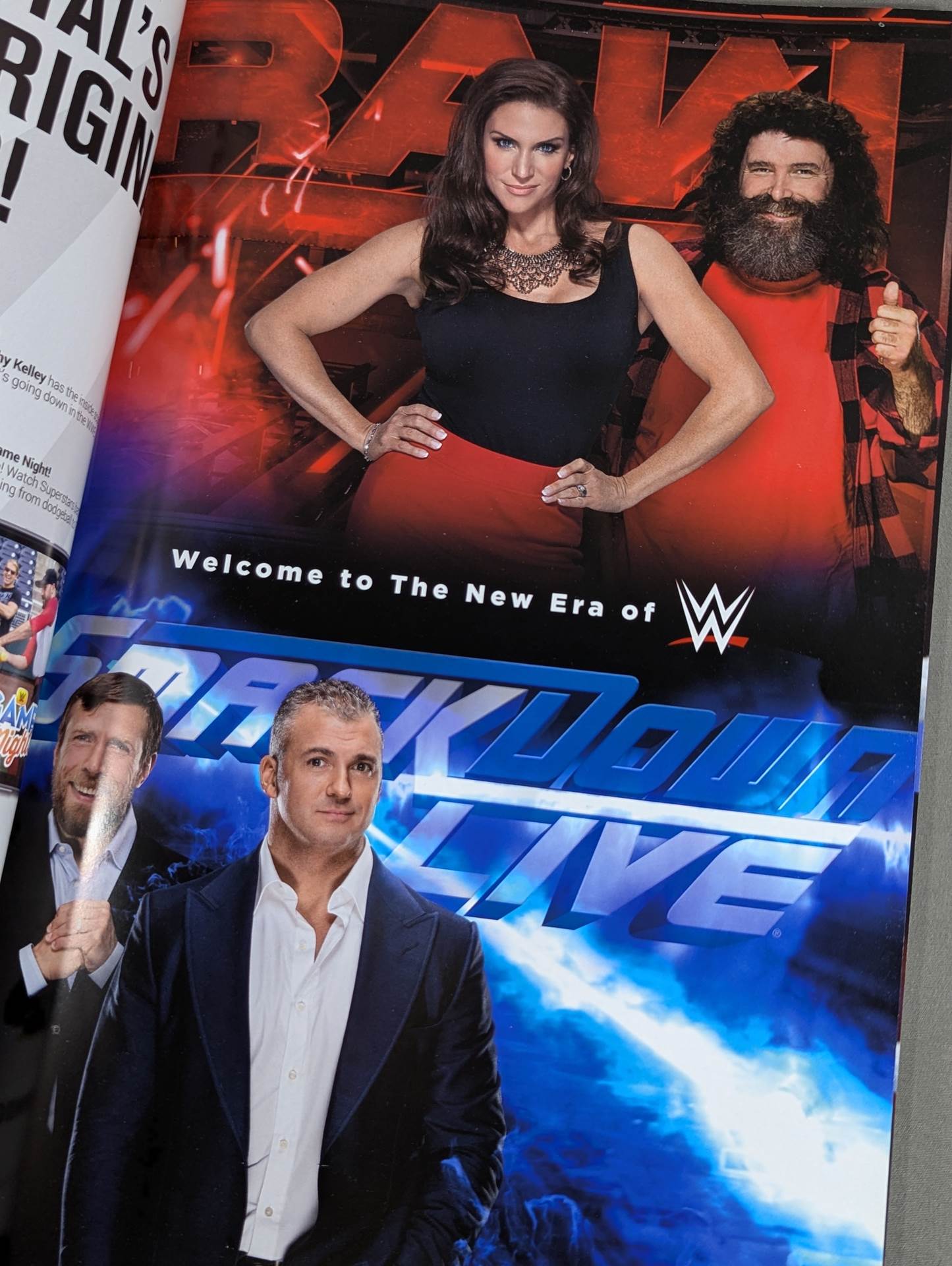 WWE OFFICIAL PROGRAM 2016