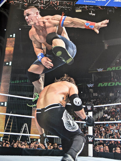 WWE OFFICIAL PROGRAM 2016