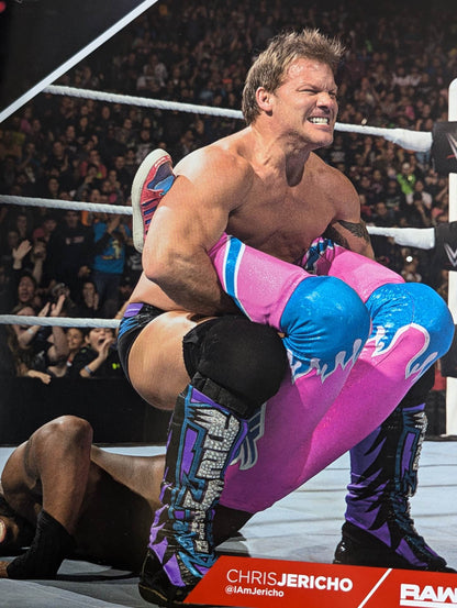 WWE OFFICIAL PROGRAM 2016