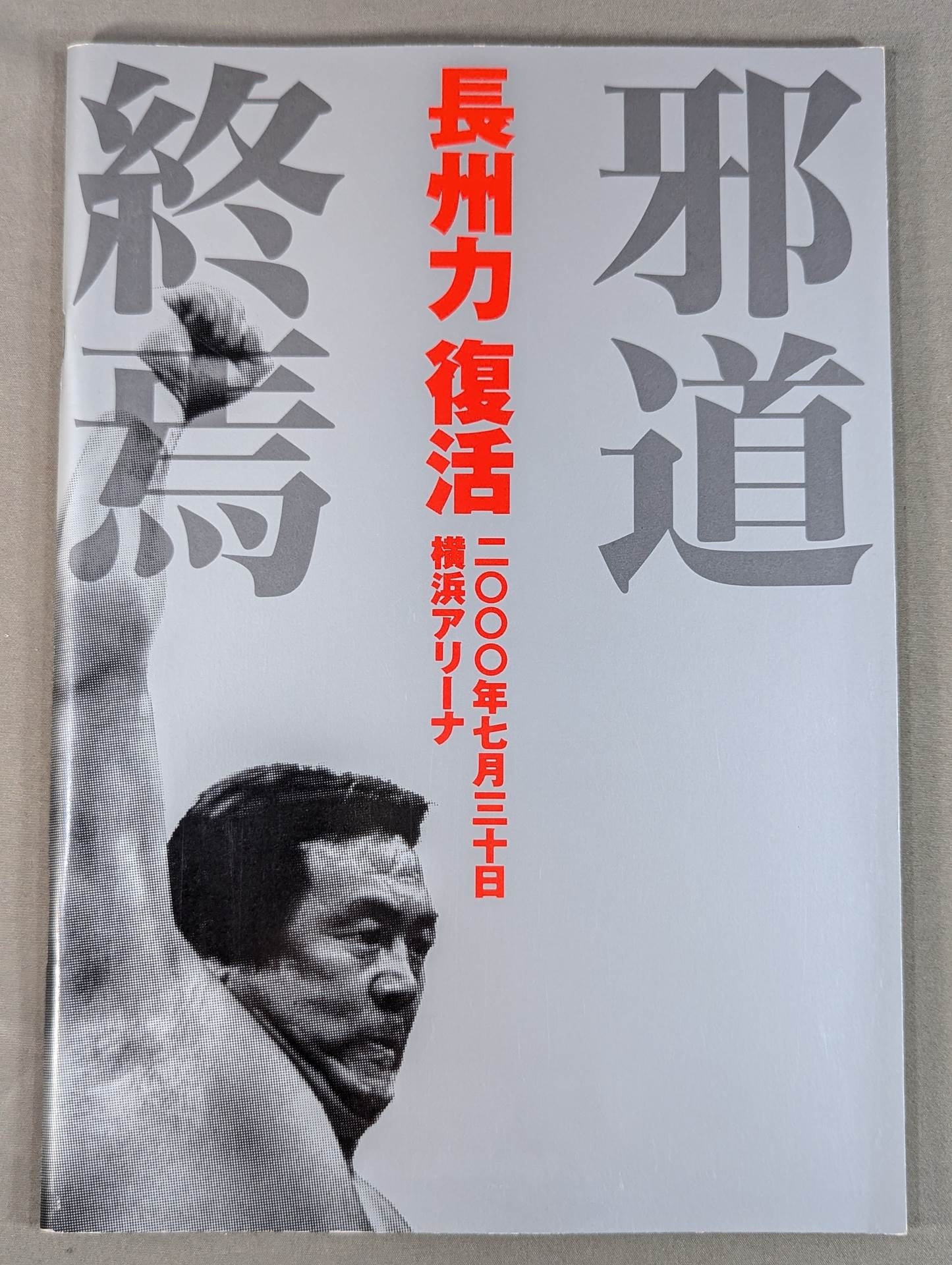★長州vs大仁田 電流爆破戦★ 長州力復活 邪道終焉
