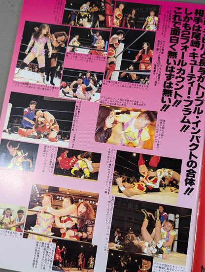 JWP / OFFICIAL PAMPHLET Vol.9 / COUNT DOWN TO ARIAKE