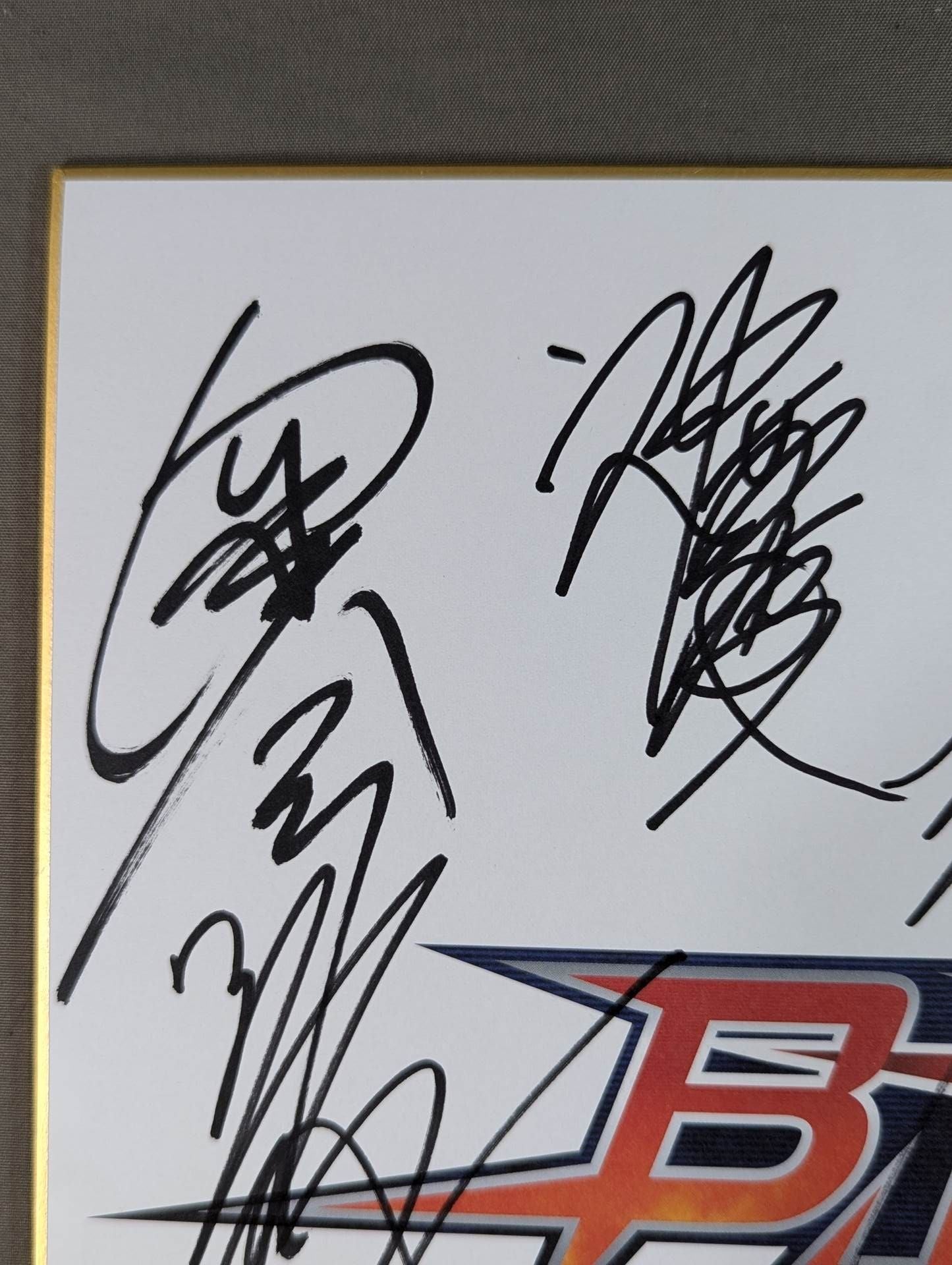 UWF 5選手　寄せ書きサイン色紙 大日本プロレス 10選手寄せ書き(BJW専用色紙) – 闘道館