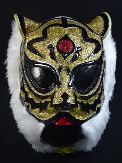 2代目タイガーマスク