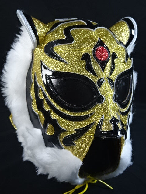 2代目タイガーマスク