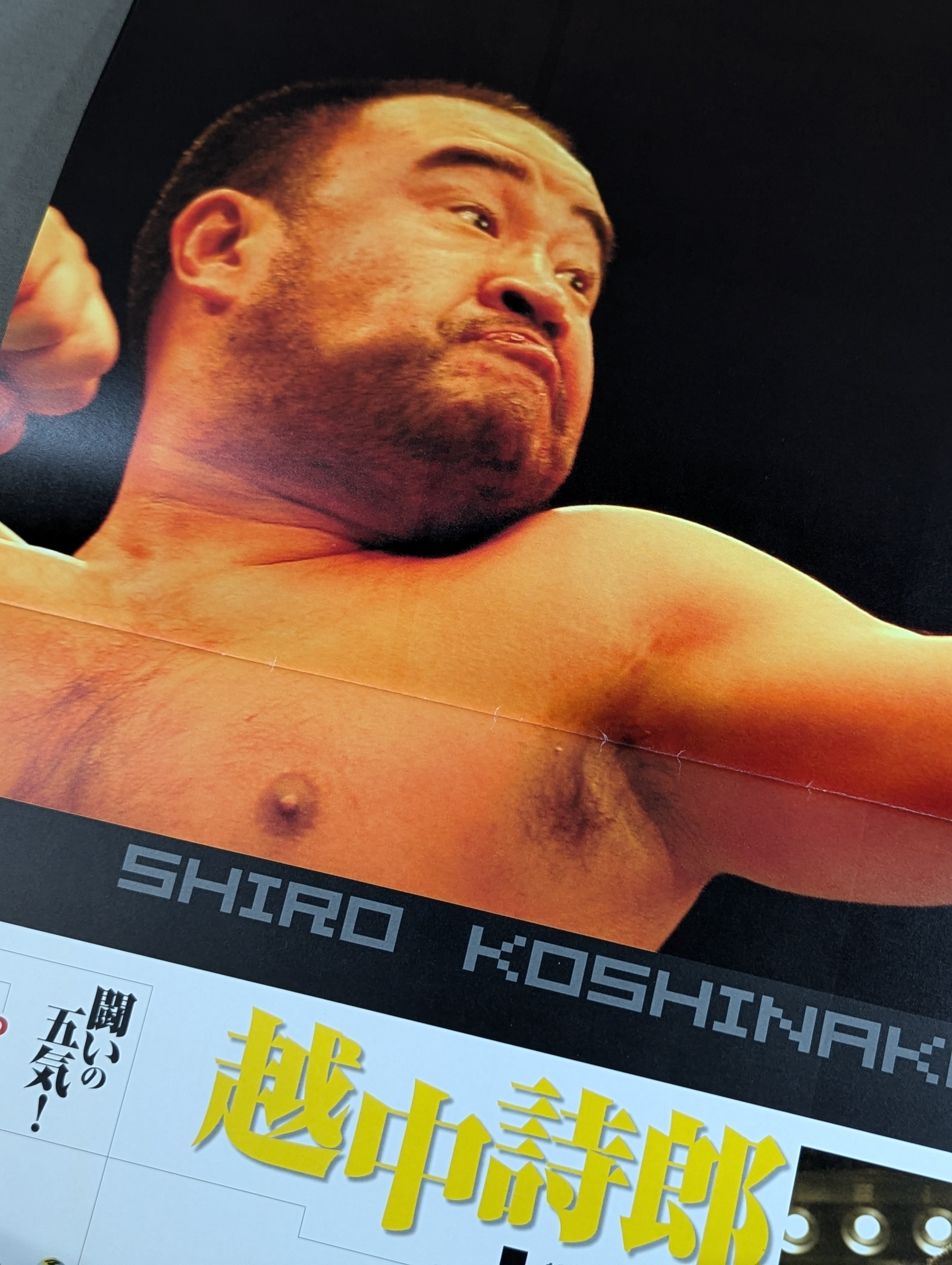 激レア　ワールド・ジャパン・プロレス MAGMA 01 旗揚戦 WJプロレス / MAGMA01 パワーホールシリーズ – 闘道館