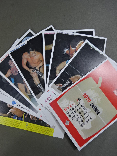 International Pro Wrestling  Chronicle