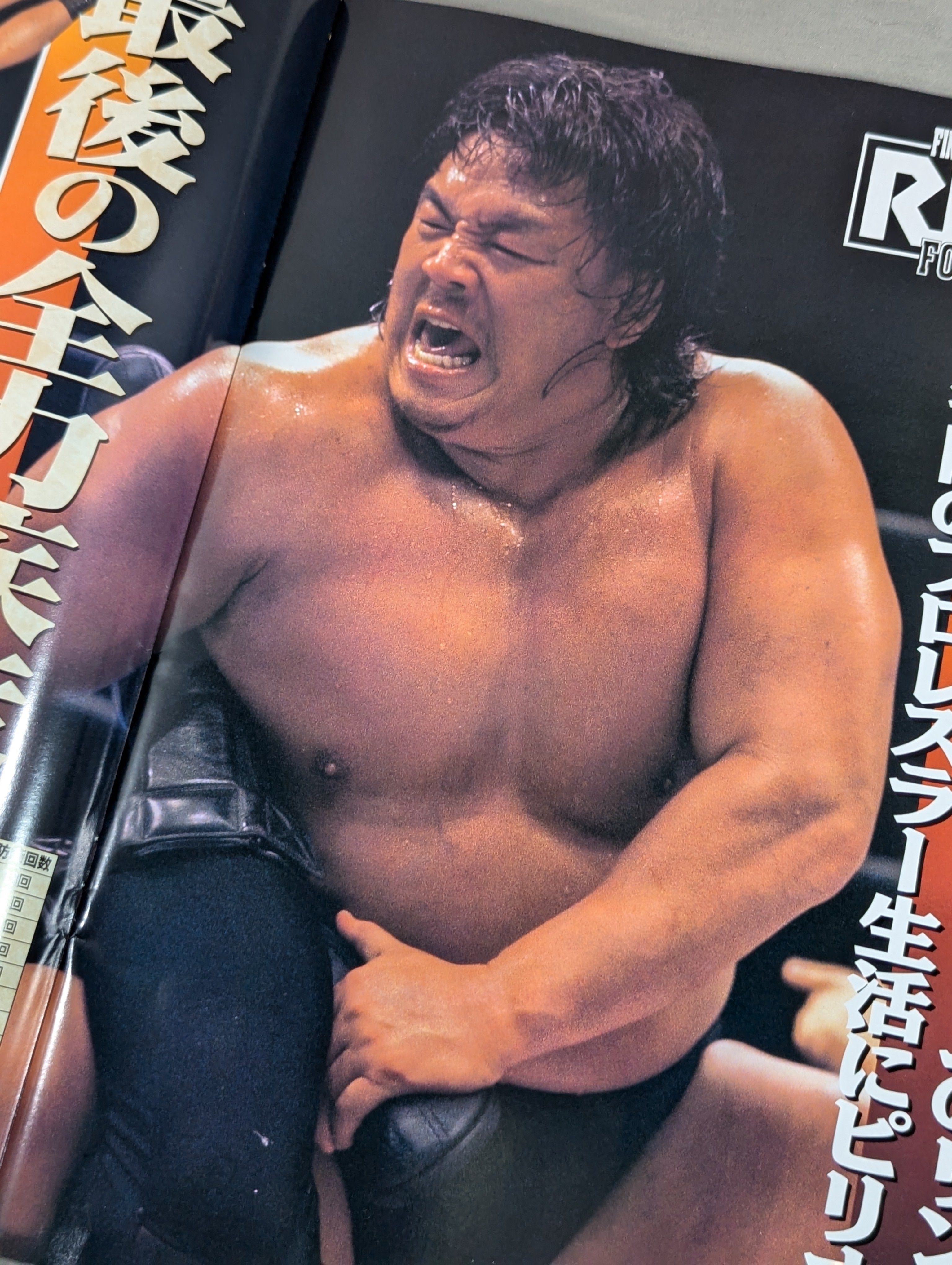 新日本プロレスオフィシャルビデオ　Final Power Hall 長州力引退 ☆長州力引退記念試合☆ FINAL POWER HALL in YOKOHAMA