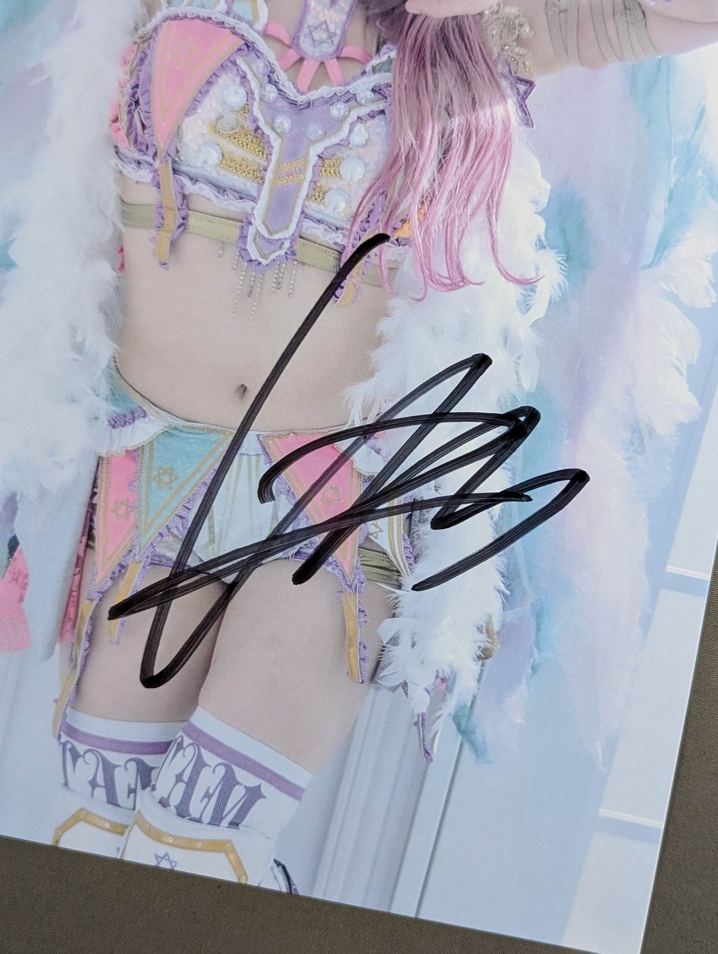 5枚 A4ポートレート STARDOM 中野たむ 管理番号F08 中野たむ 直筆サイン入り スターダムポートレート(W-5) – 闘道館
