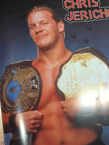 WWF SMACK DOWN! TOUR 2002