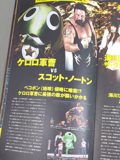 ハッスル・マニア 2007